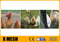 ลวดตาข่ายไก่กระต่าย 20 Ga Hexagonal Poultry Netting 3/4&quot; ป้องกันกรด